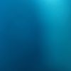 usergjsbdbd