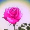 user8633553917926