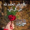 fatmat335