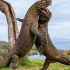 tars_31