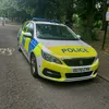 policecars29