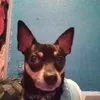 ryanb247