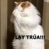 hellomayfennha_hihi