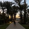 drissrayan11
