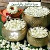 samir_semir