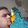 anasalkousa