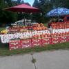 fruitstand_0612