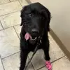 nikytheatc