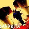 sandratorres623