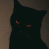 yn_spookie