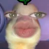 dially_ericaemilly