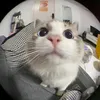 frenchprys06