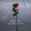lelmeshal