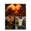 gymbodybuilder12