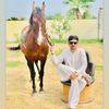 muhammadshahzaibs96