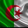 imadch28
