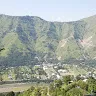 awanpatti