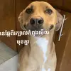 rara.koko3