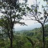 tutinaziah