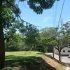 felipegusmao525