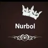 nurbol334