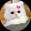 princeamin28