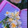 ikrammahmud68