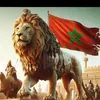 hichammeknes08