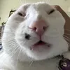 kornprbg