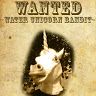 banditunicorn3