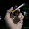 mann_id93