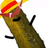 hi_ima_pickle