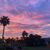 sunsetsummababy