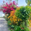 nhuhuynh0686