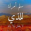 apo_hassan502