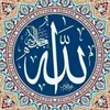 majidalatabi36