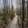 .kuusk