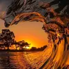 patel00_31