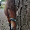 random_shit806