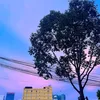 user2078wsww9v