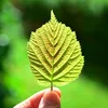lyhoctienganh86