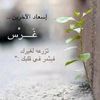 user1358416206167