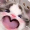 queen_ting21