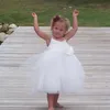 amelia_hle
