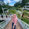 diniandrn31