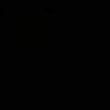 arielodes