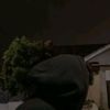metodi182