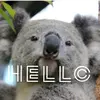 09_koala_09