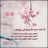 alshehri_116