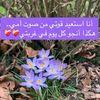 user821398990
